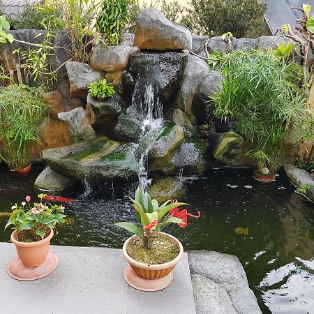 Crystal Cameron Vacation Bungalow Cameron Highlands Exterior foto
