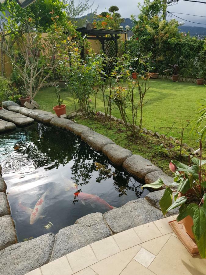 Crystal Cameron Vacation Bungalow Cameron Highlands Exterior foto